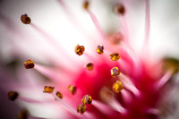 Abstract-3